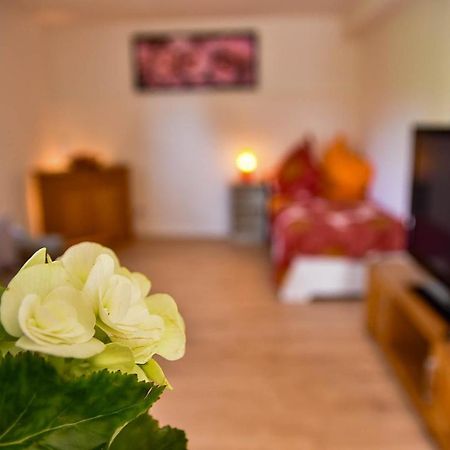 Wohnung Mit Wohlfuehlcharakter Idar-Oberstein Ngoại thất bức ảnh