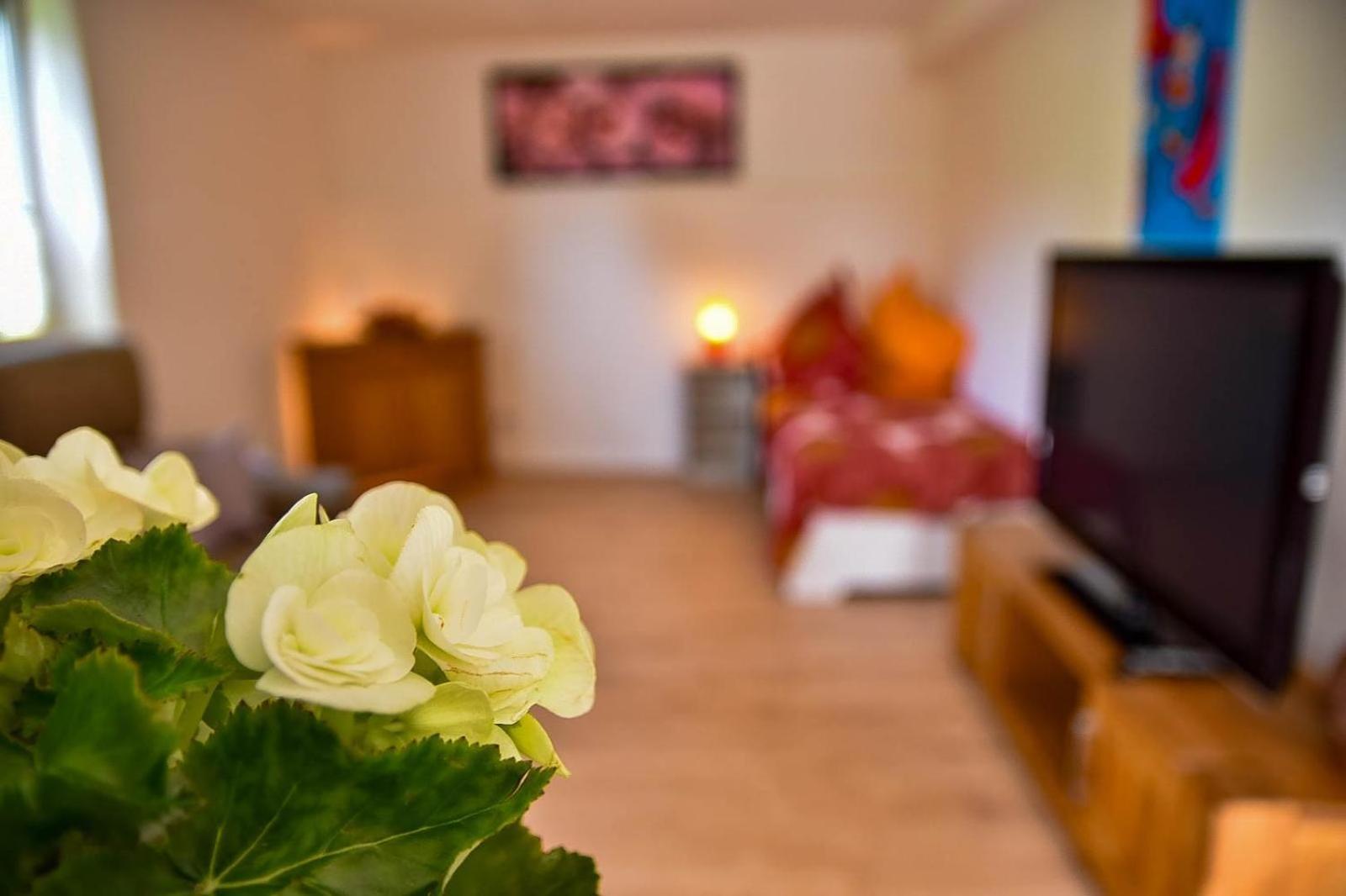 Wohnung Mit Wohlfuehlcharakter Idar-Oberstein Ngoại thất bức ảnh